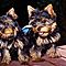 Two-adorable-teacup-yorkie-puppies-available-free
